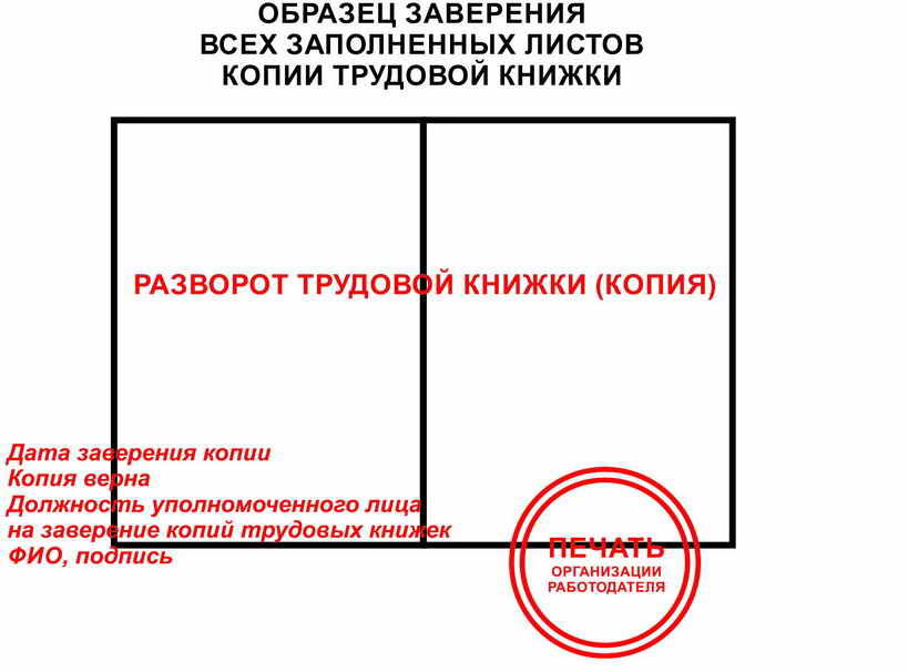 Иллюстрация: Заверение копии трудовой книжки для банка: образец и фото
